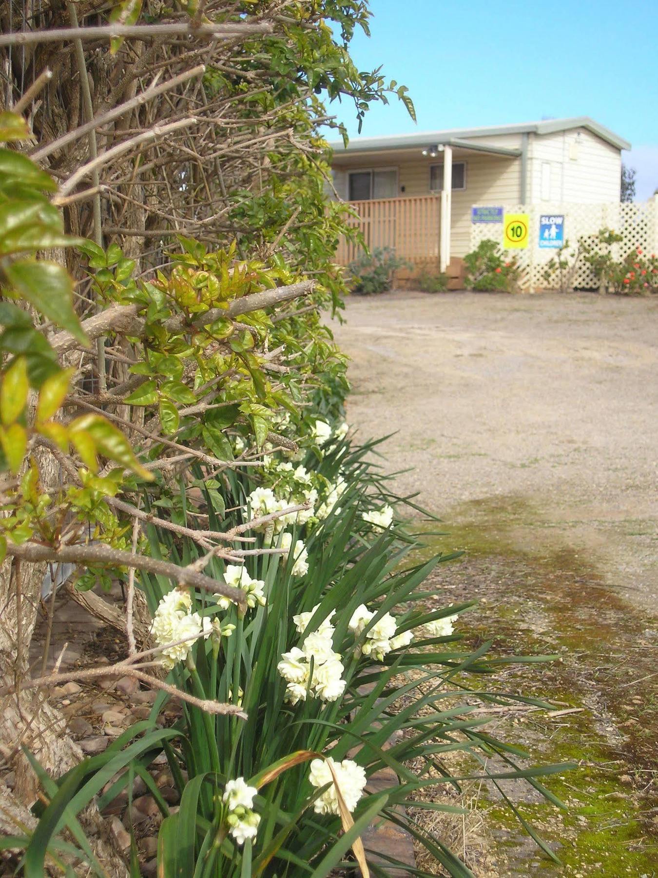 Port Moonta Moonta Bay Accommodation מראה חיצוני תמונה