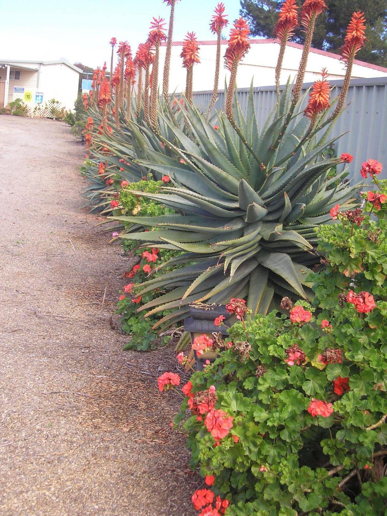 Port Moonta Moonta Bay Accommodation מראה חיצוני תמונה